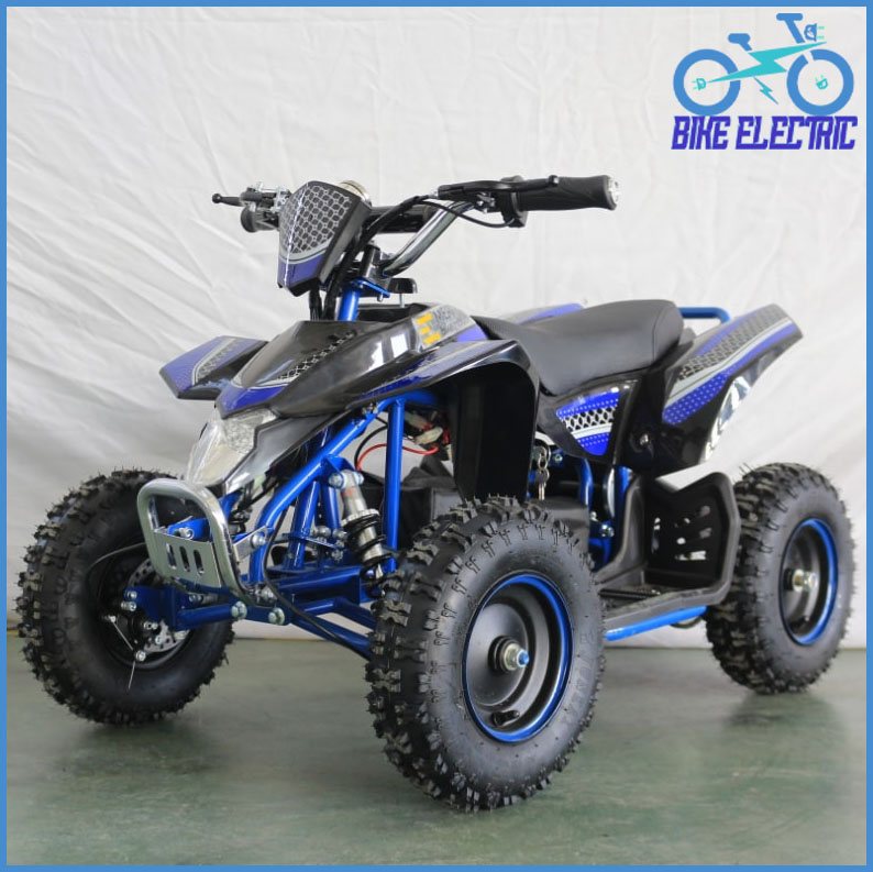  Electric Quad Bike