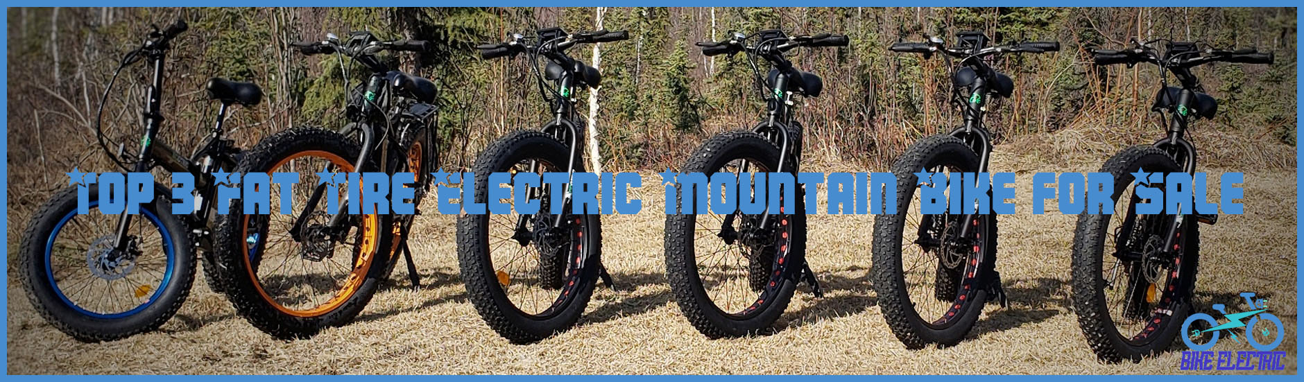 Top 3 Fat Tire Electric Mountain Bike for Sale