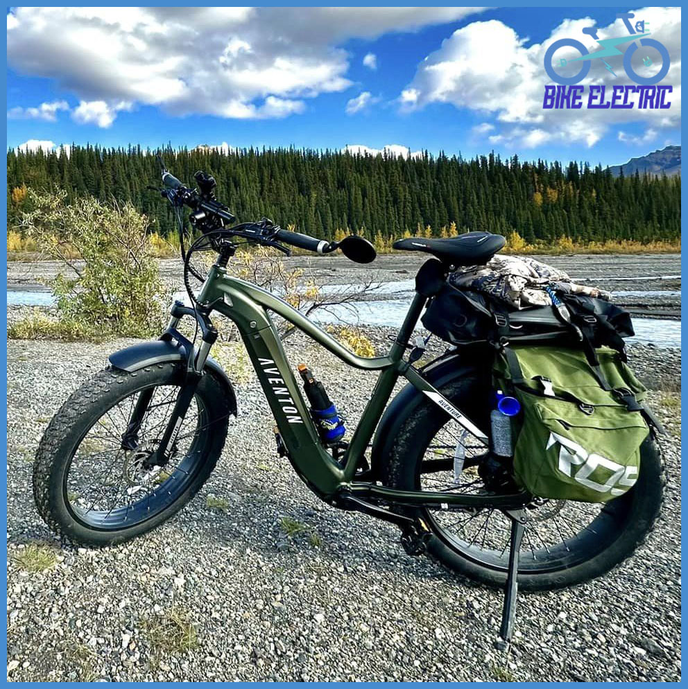 Top 3 Fat Tire Electric Mountain Bike for Sale